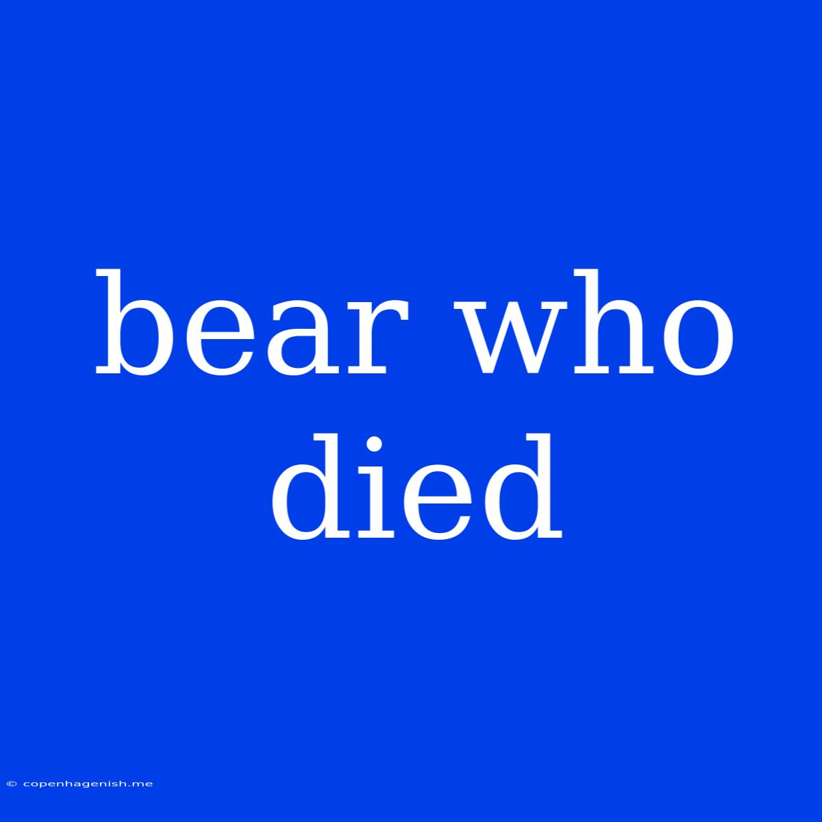 Bear Who Died