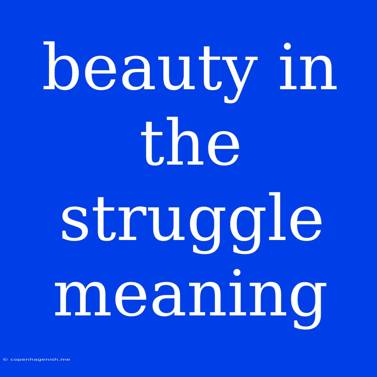 Beauty In The Struggle Meaning