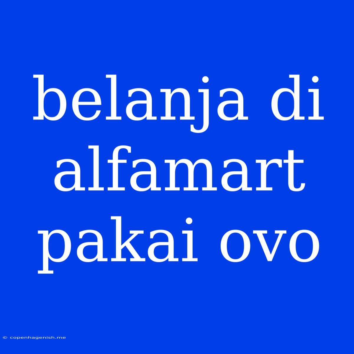 Belanja Di Alfamart Pakai Ovo