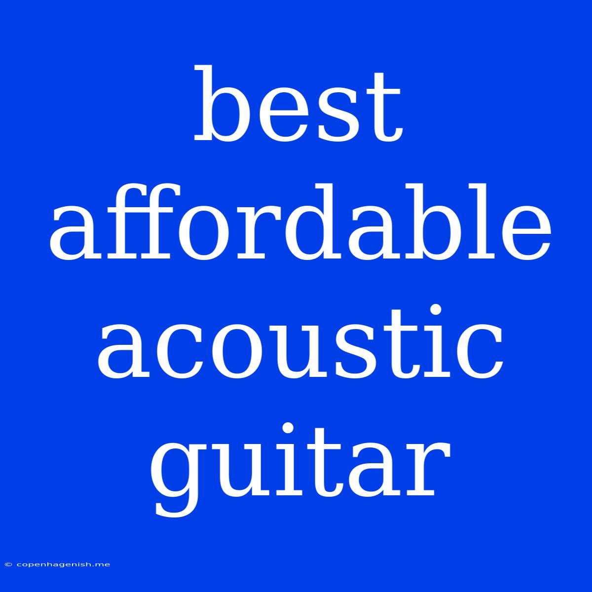 Best Affordable Acoustic Guitar