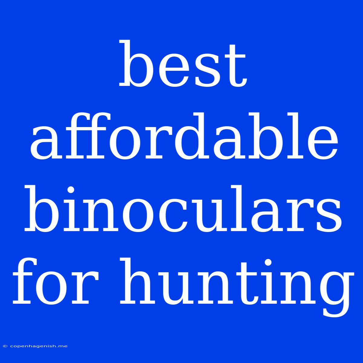 Best Affordable Binoculars For Hunting