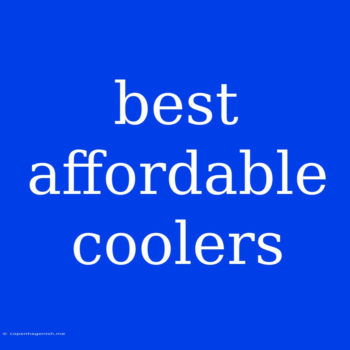 Best Affordable Coolers