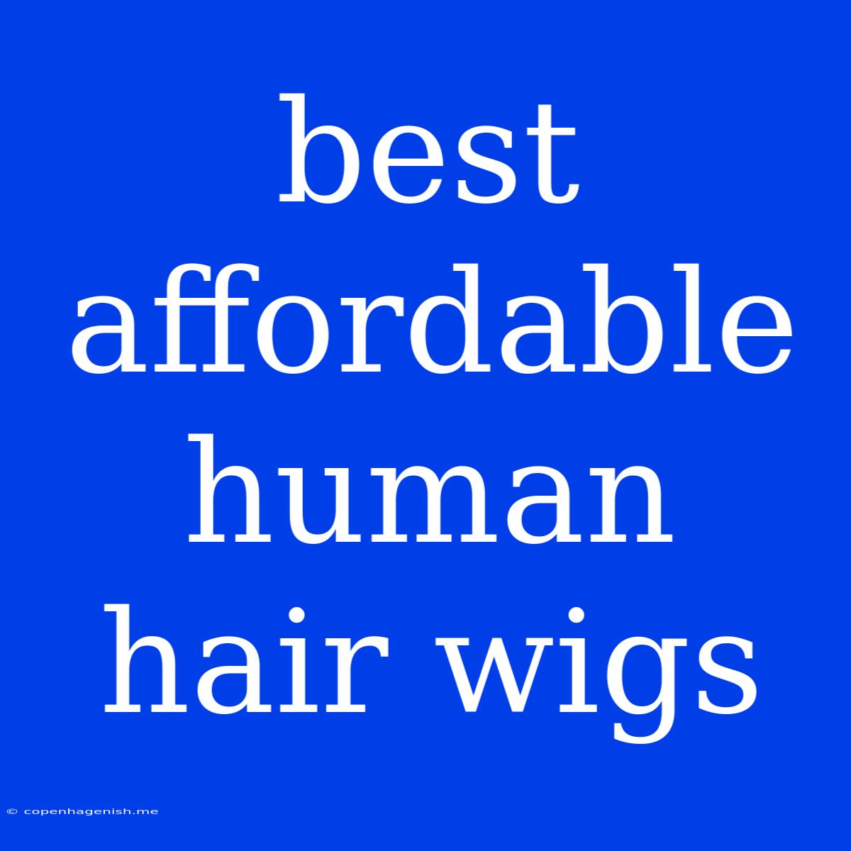 Best Affordable Human Hair Wigs