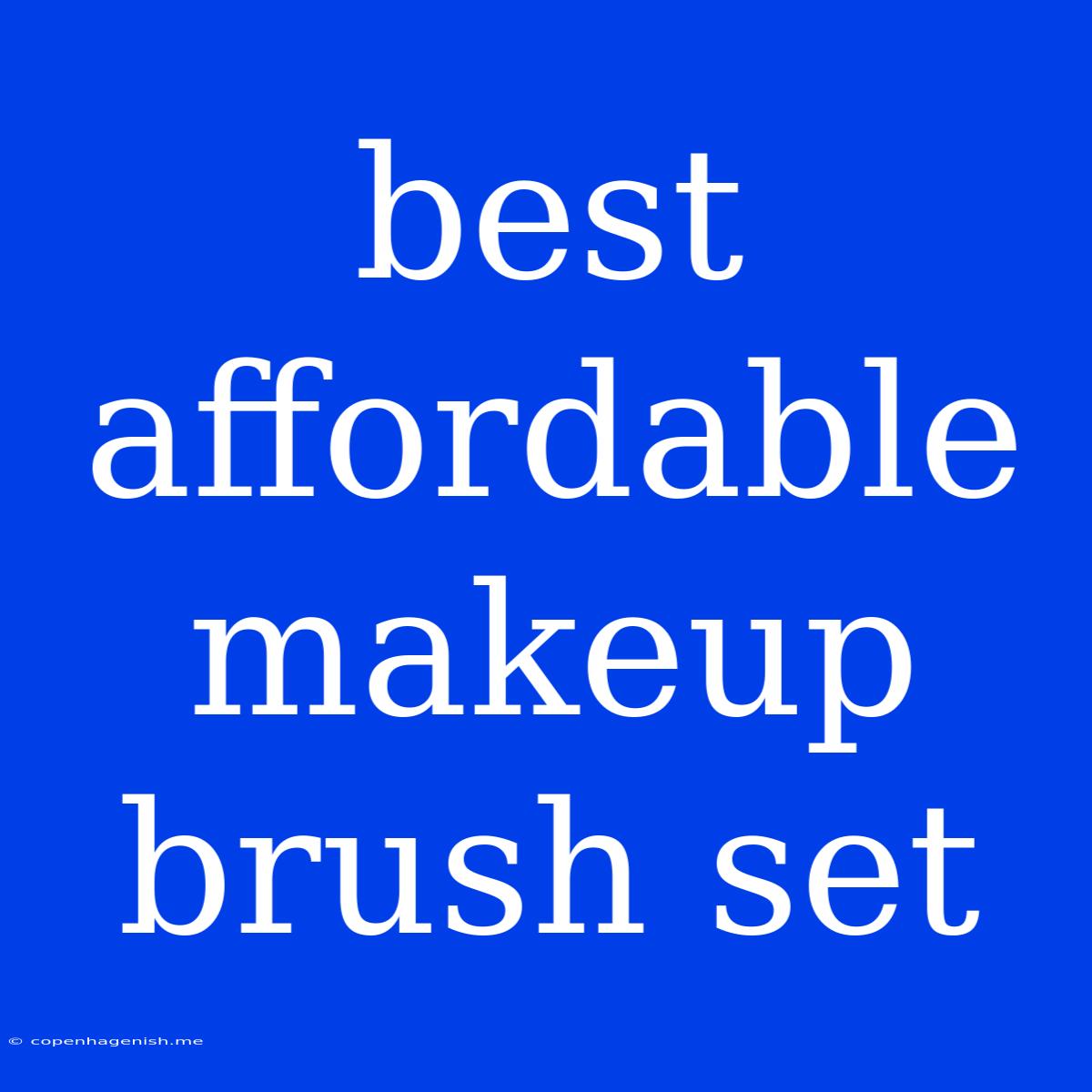 Best Affordable Makeup Brush Set