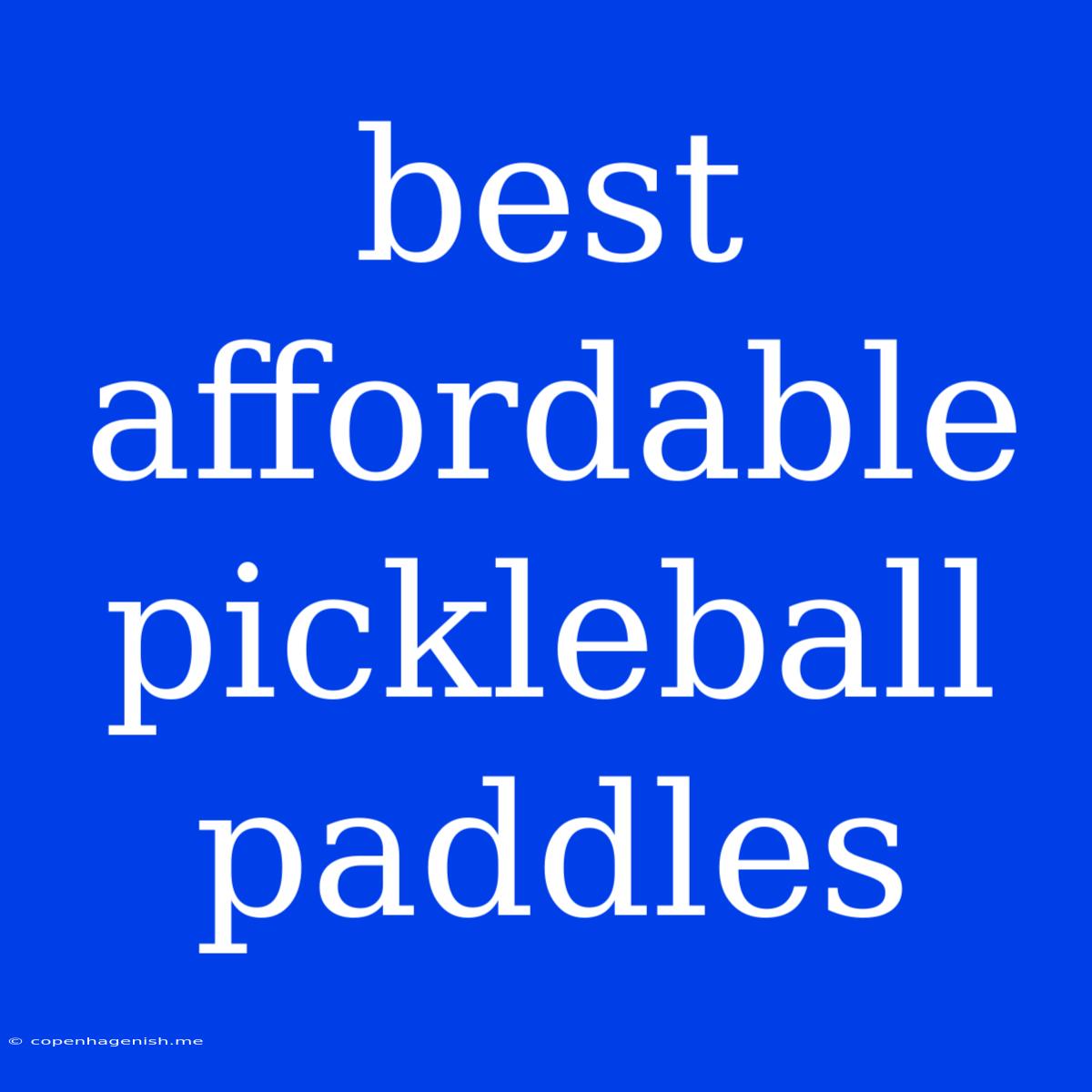 Best Affordable Pickleball Paddles