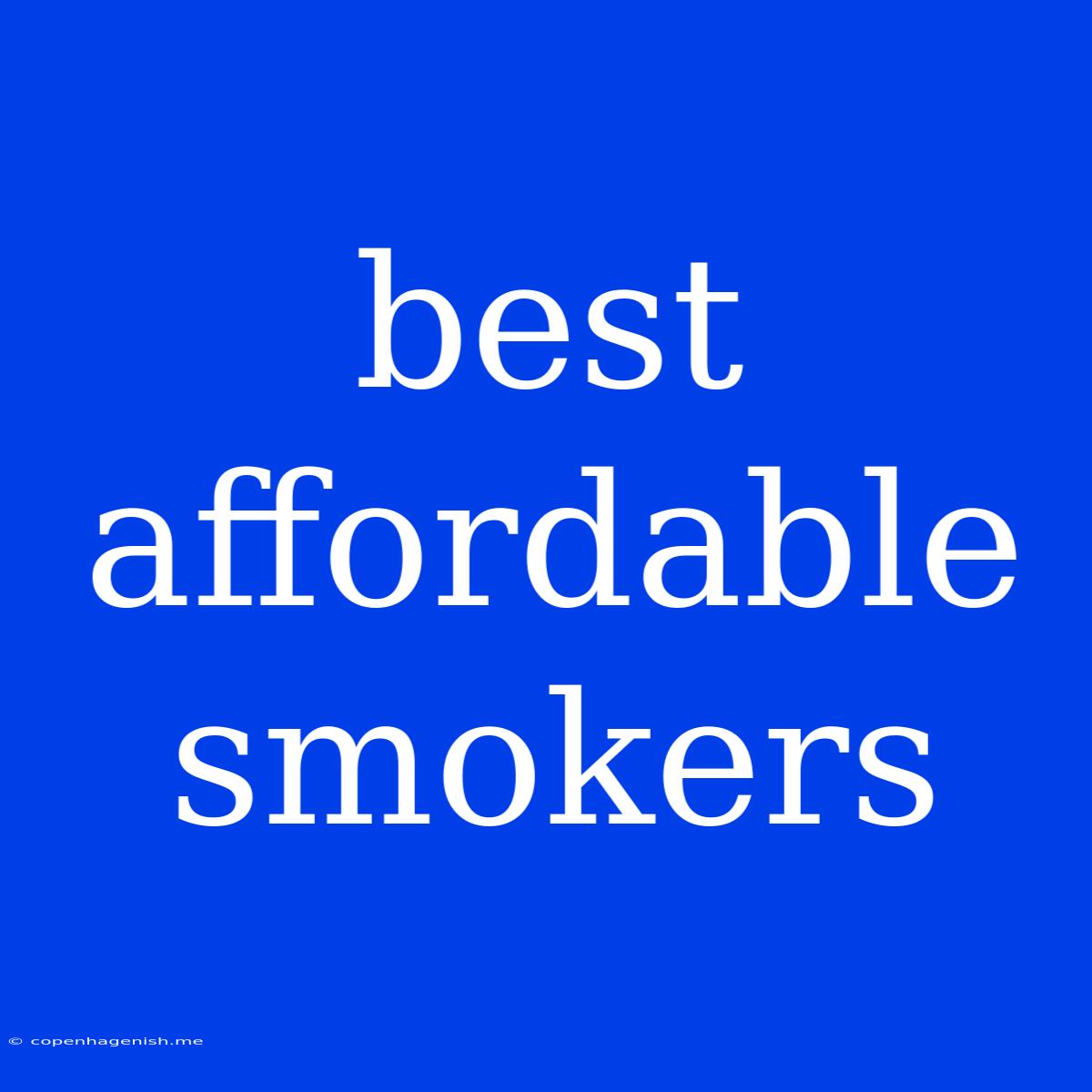 Best Affordable Smokers