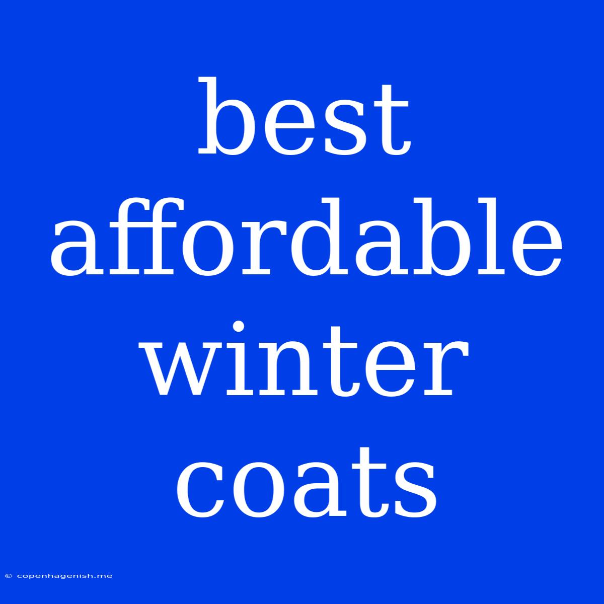 Best Affordable Winter Coats