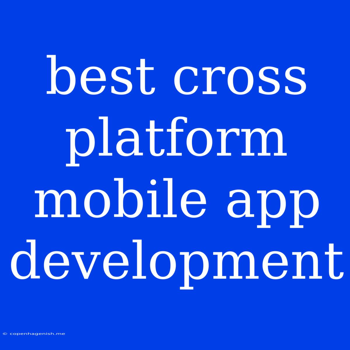 Best Cross Platform Mobile App Development