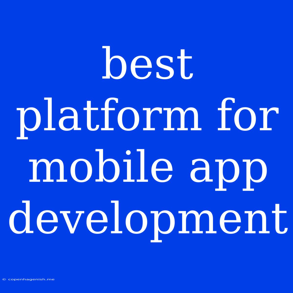 Best Platform For Mobile App Development