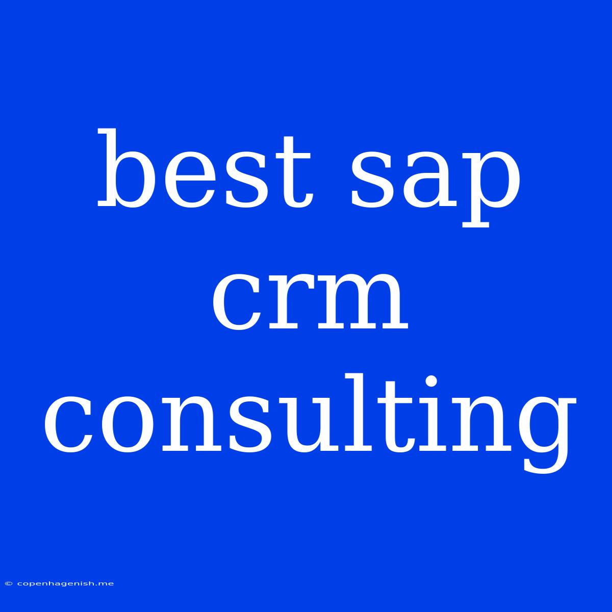 Best Sap Crm Consulting