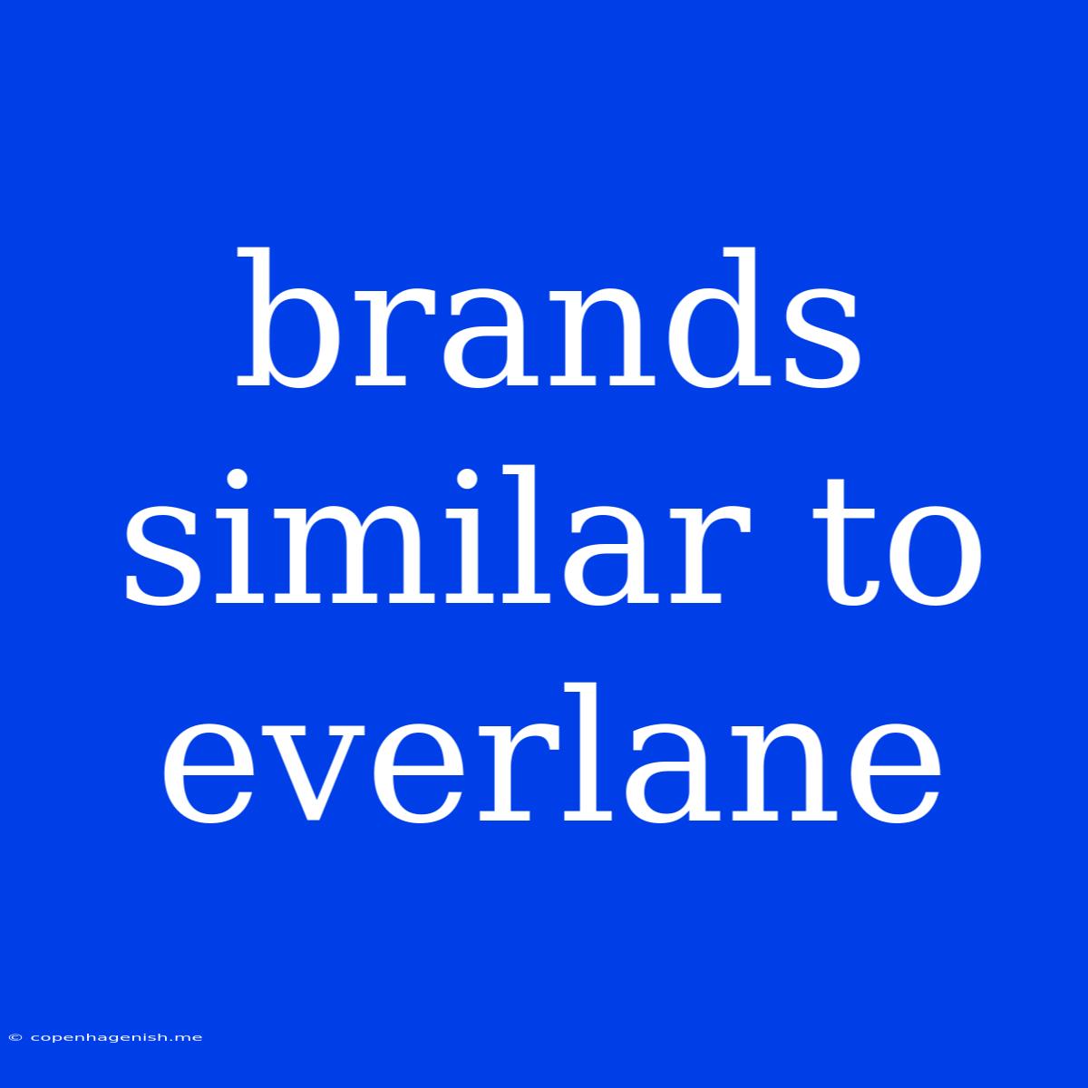 Brands Similar To Everlane