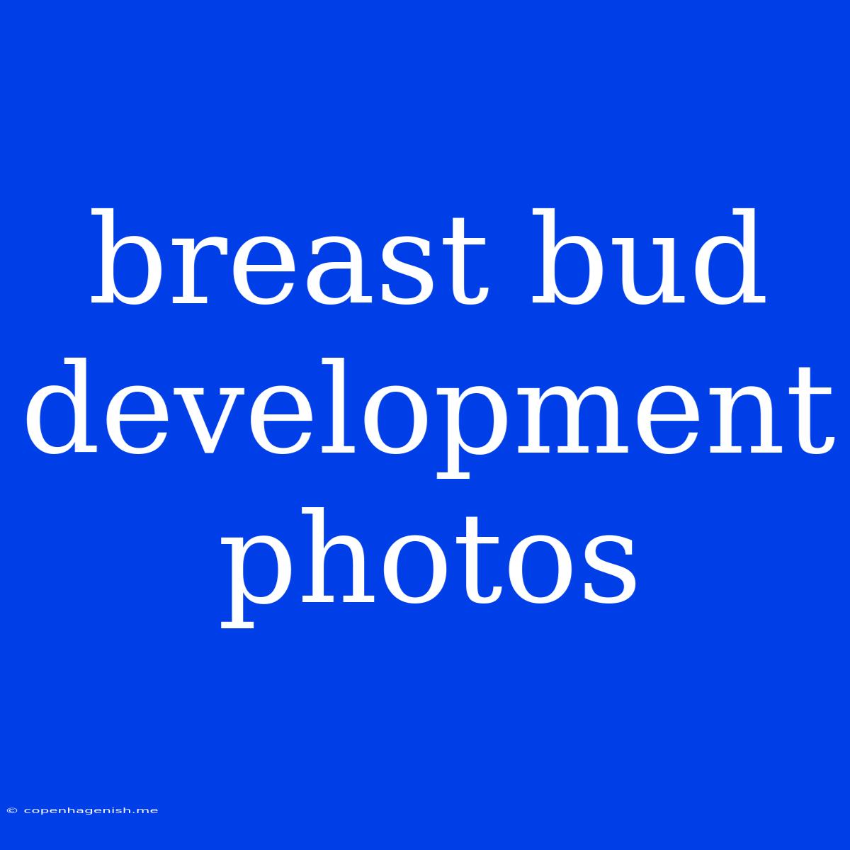 Breast Bud Development Photos