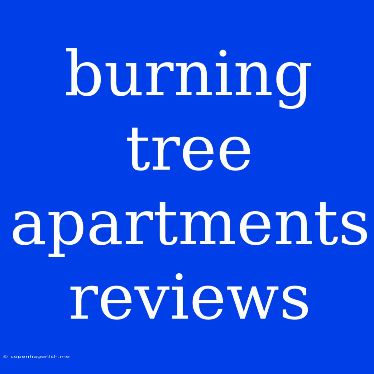 Burning Tree Apartments Reviews