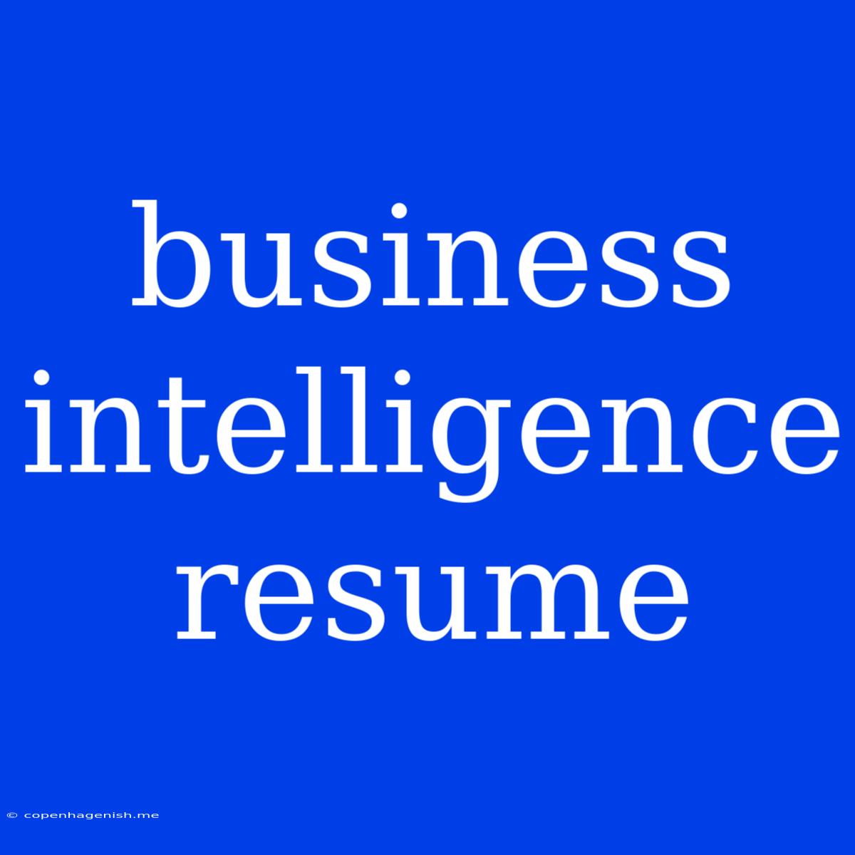 Business Intelligence Resume