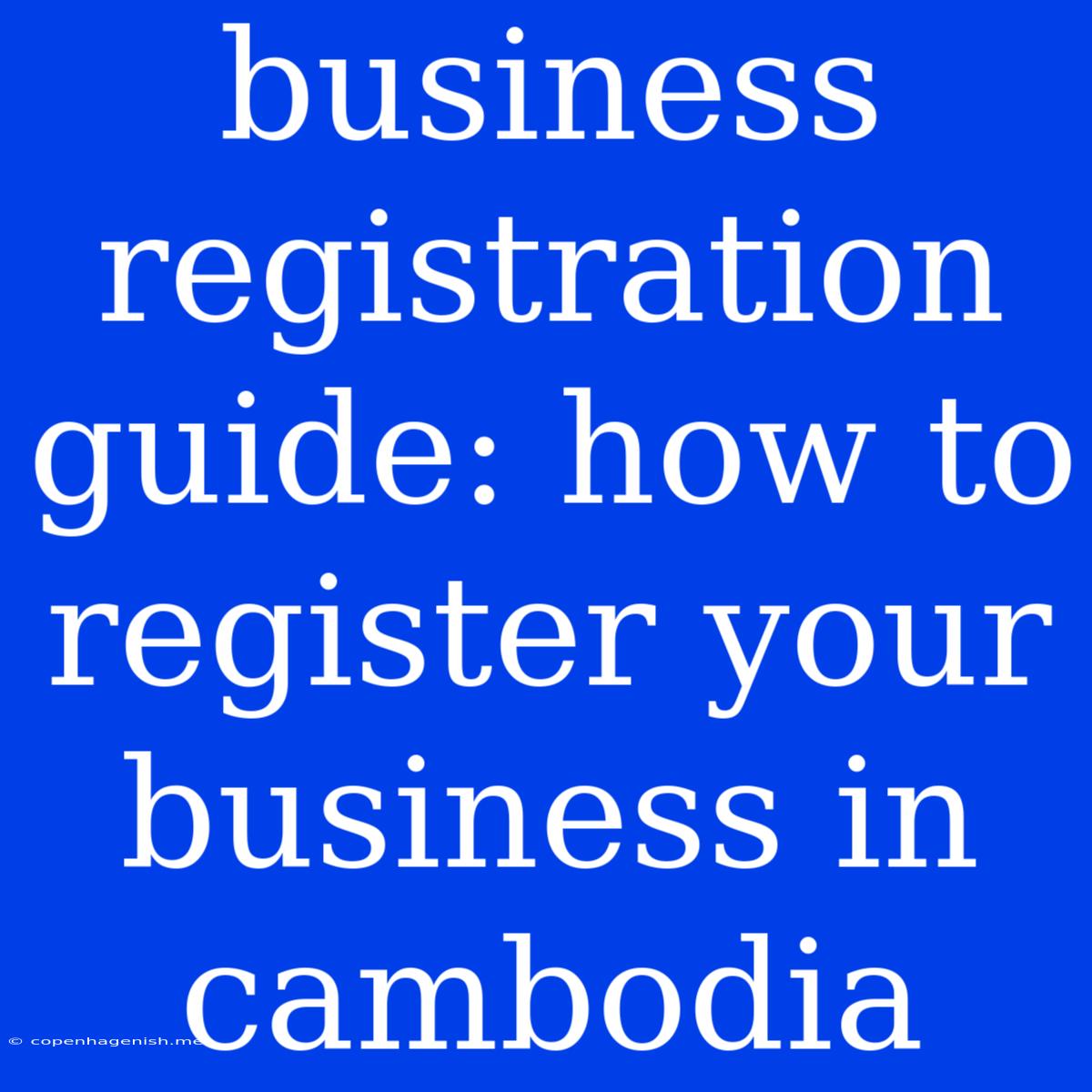 Business Registration Guide: How To Register Your Business In Cambodia