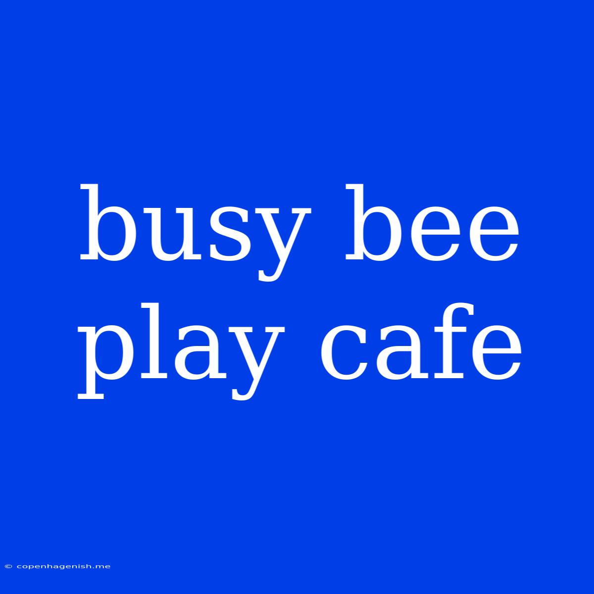 Busy Bee Play Cafe