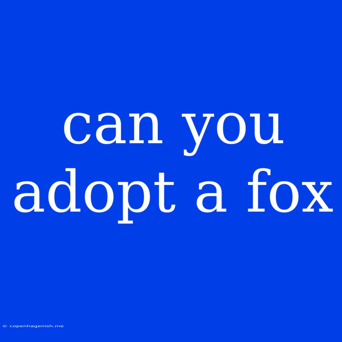 Can You Adopt A Fox