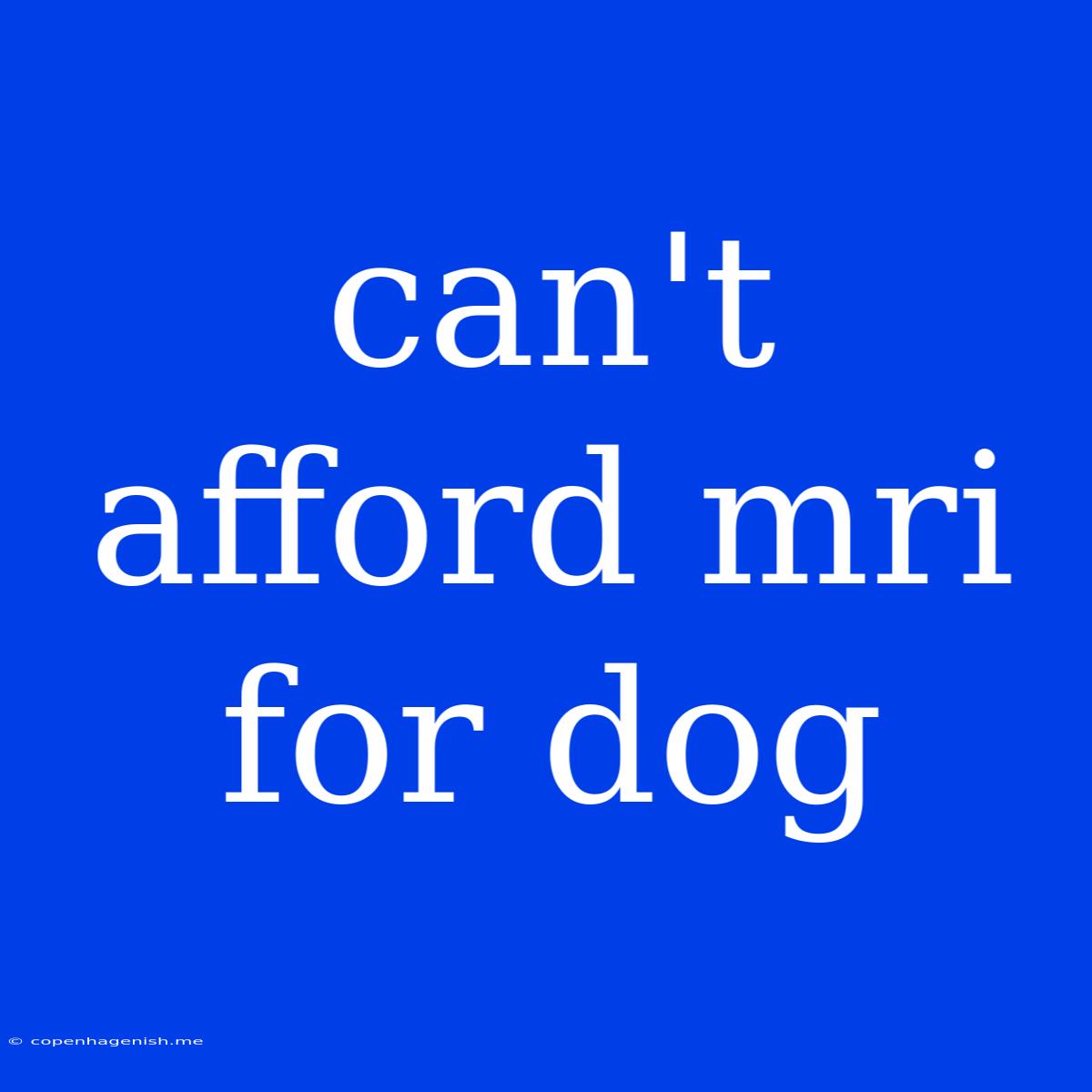 Can't Afford Mri For Dog