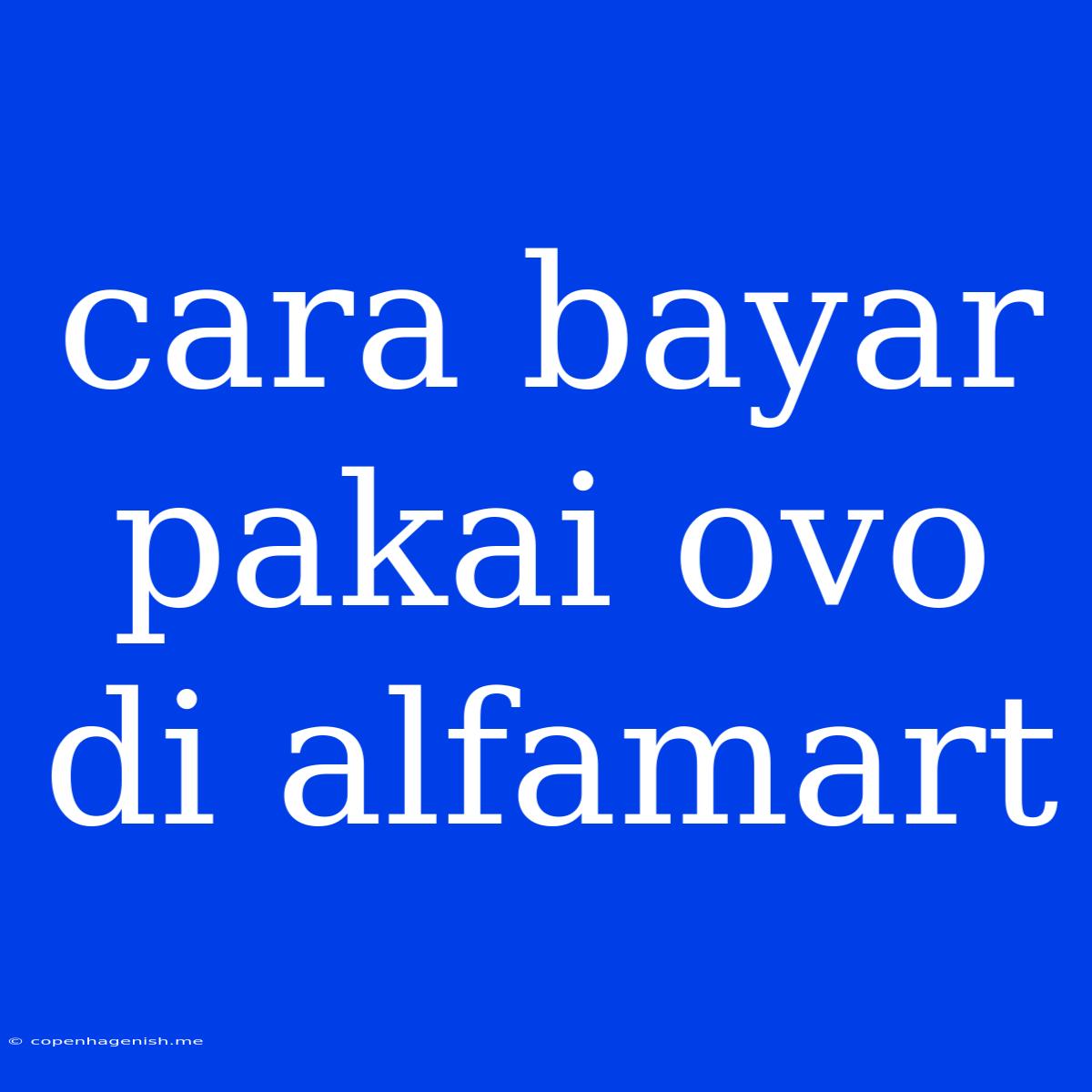 Cara Bayar Pakai Ovo Di Alfamart