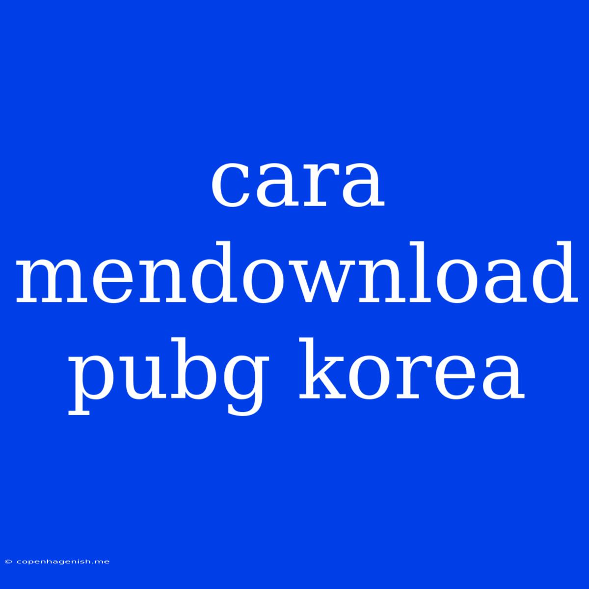 Cara Mendownload Pubg Korea