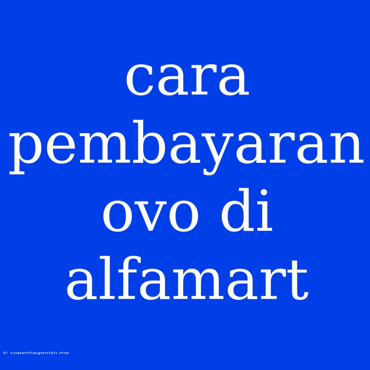 Cara Pembayaran Ovo Di Alfamart