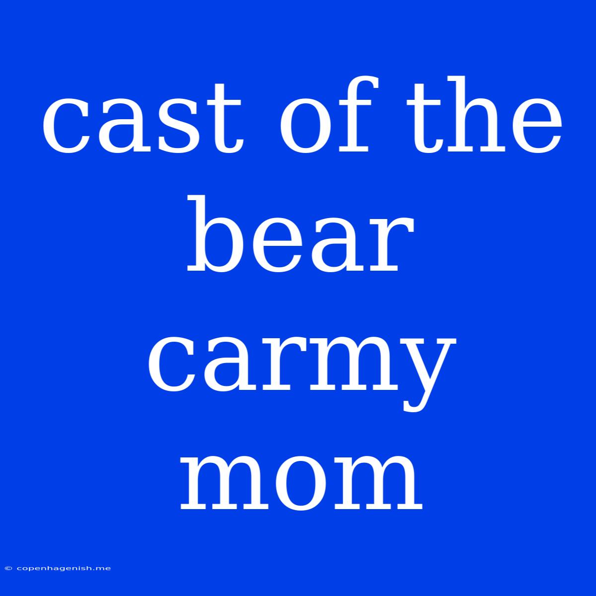 Cast Of The Bear Carmy Mom