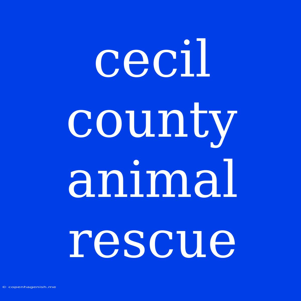 Cecil County Animal Rescue