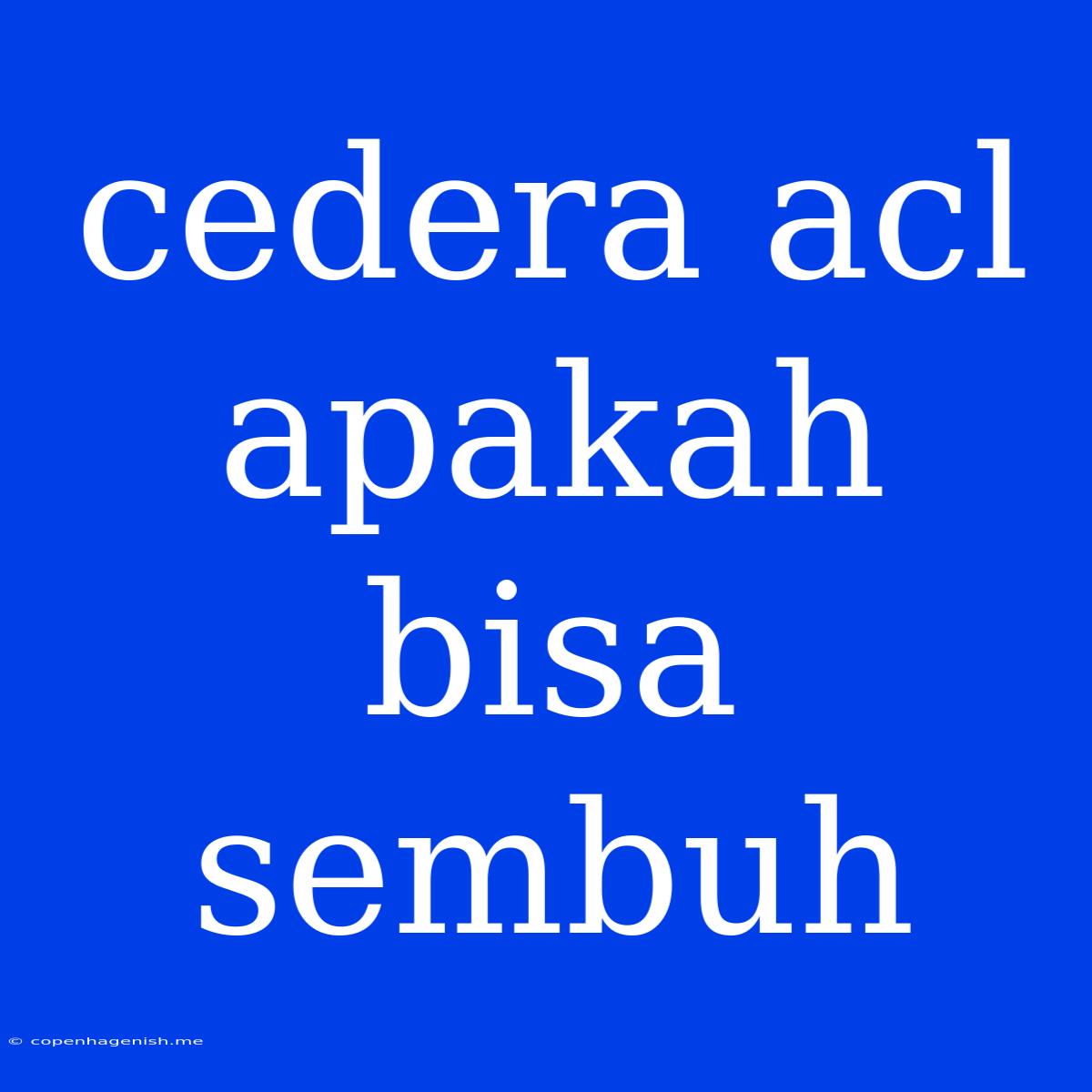 Cedera Acl Apakah Bisa Sembuh