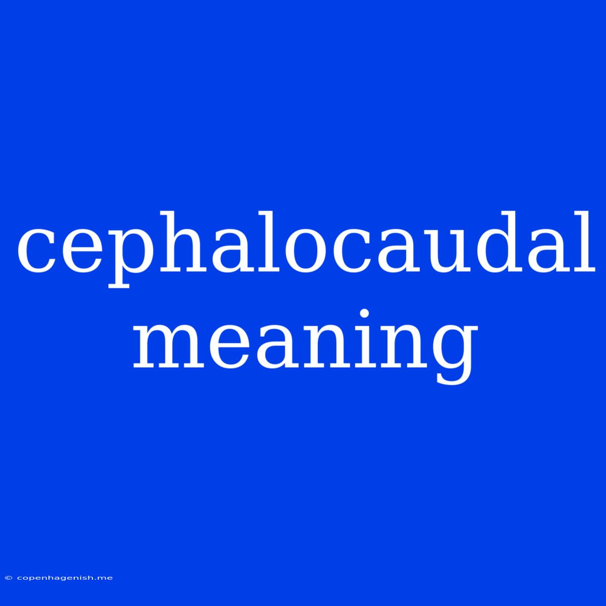 Cephalocaudal Meaning