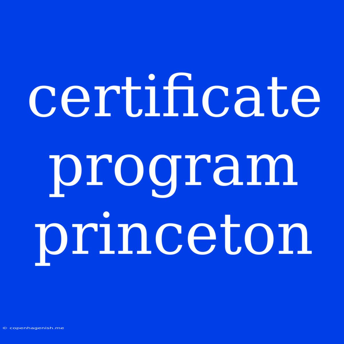 Certificate Program Princeton