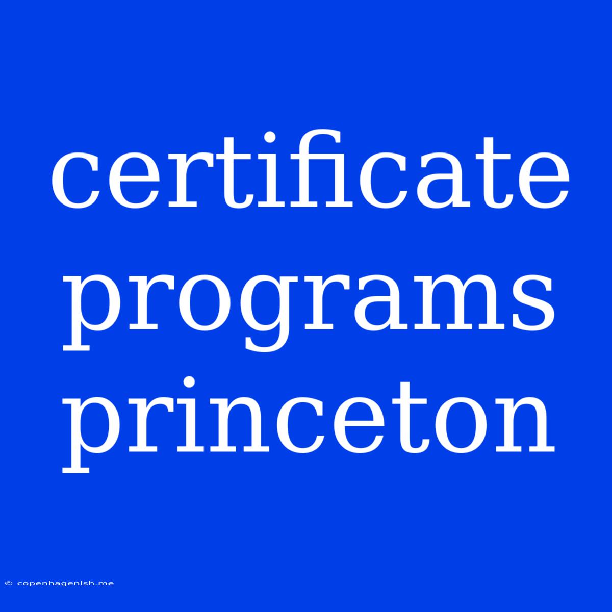 Certificate Programs Princeton