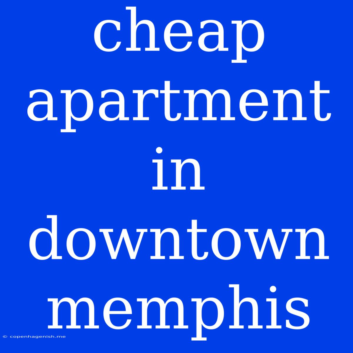 Cheap Apartment In Downtown Memphis