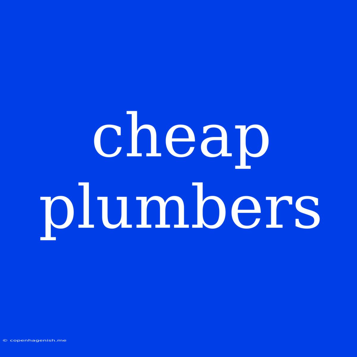 Cheap Plumbers