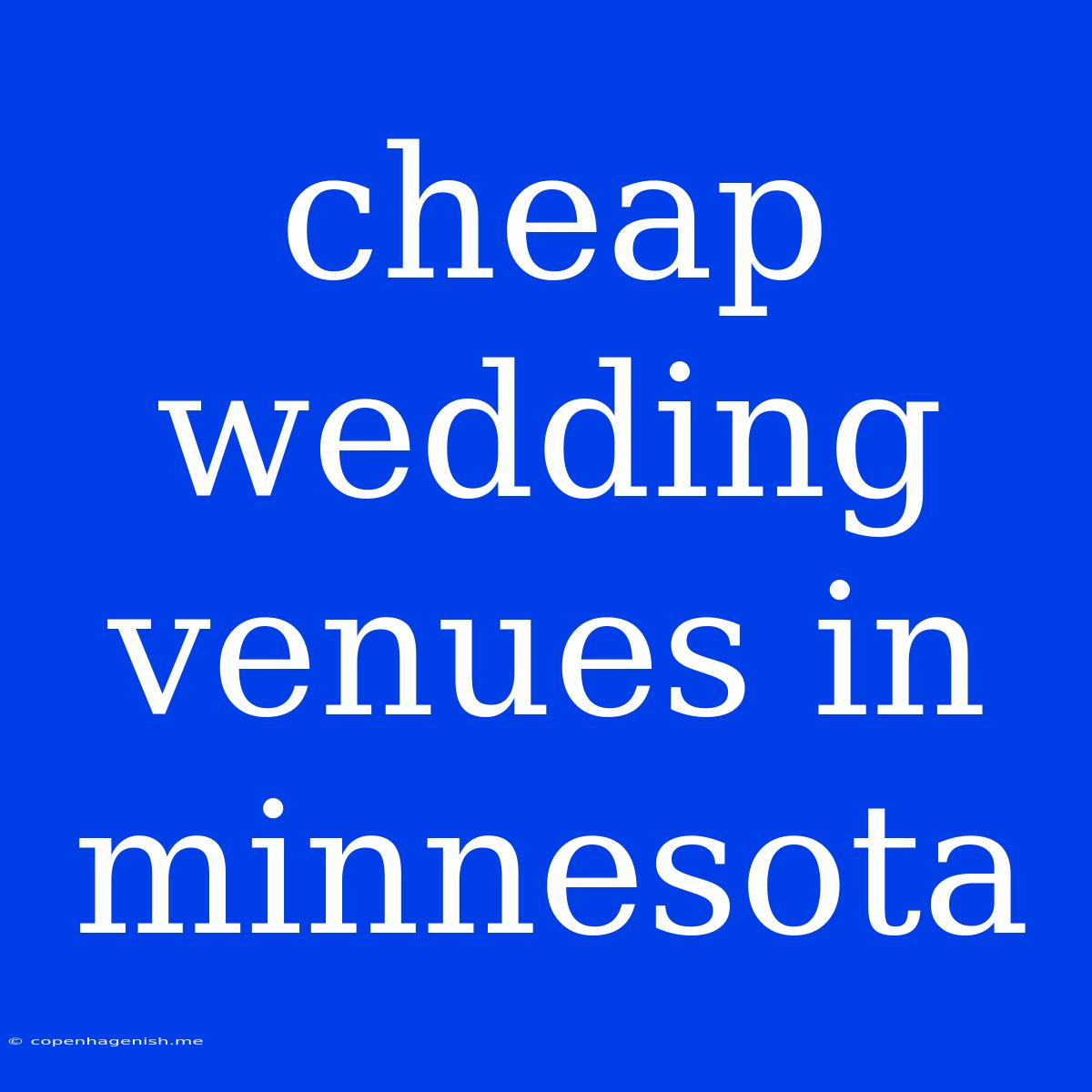 Cheap Wedding Venues In Minnesota