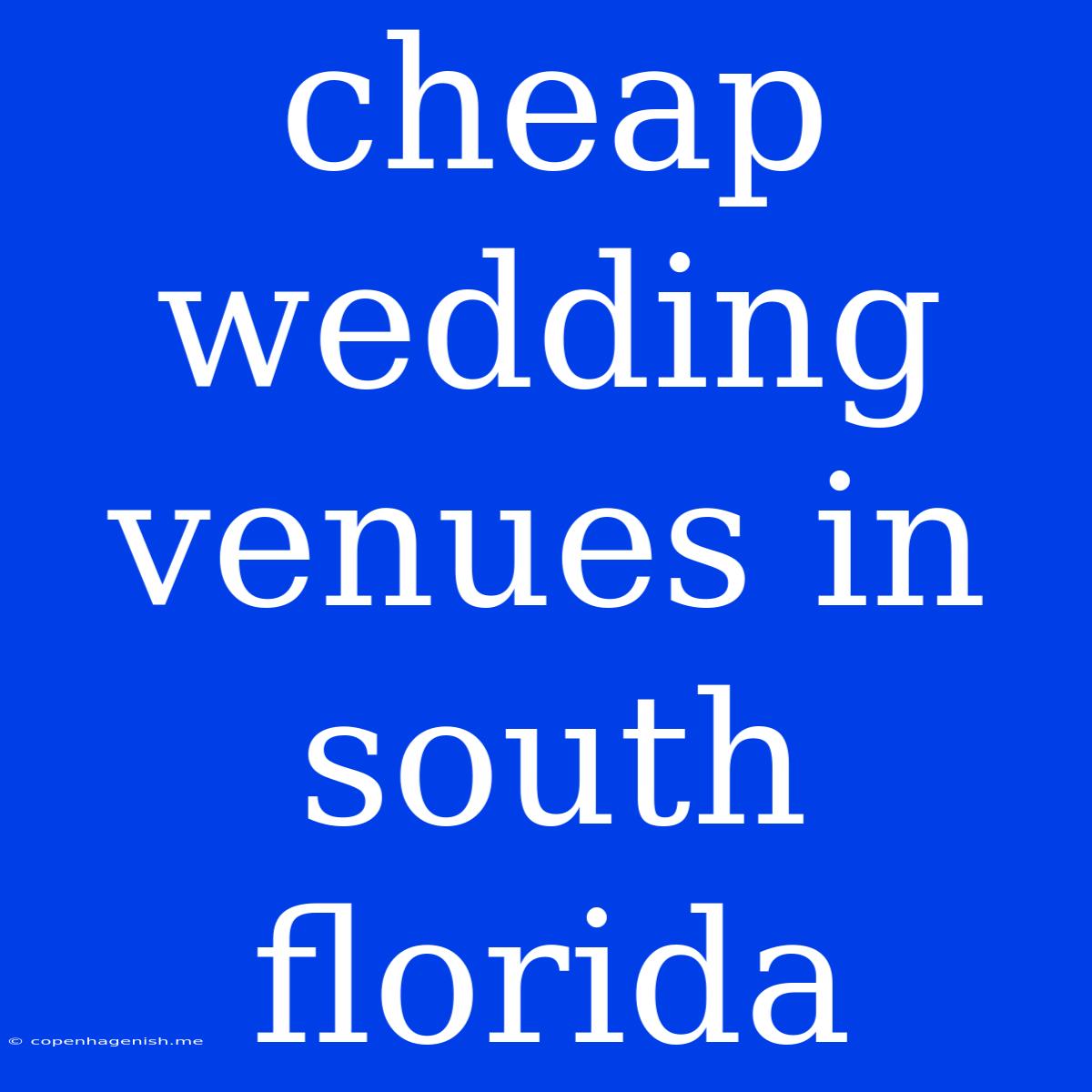 Cheap Wedding Venues In South Florida