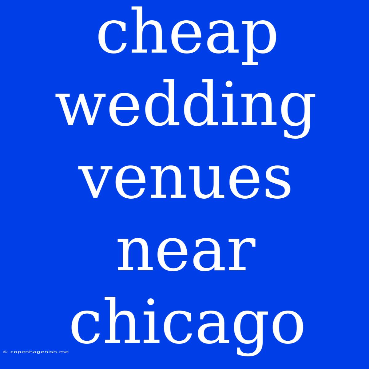 Cheap Wedding Venues Near Chicago