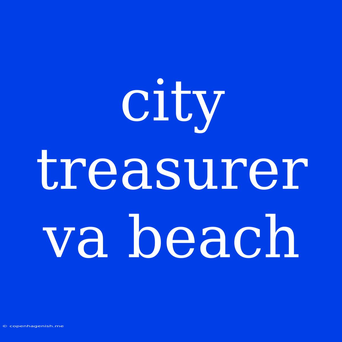 City Treasurer Va Beach