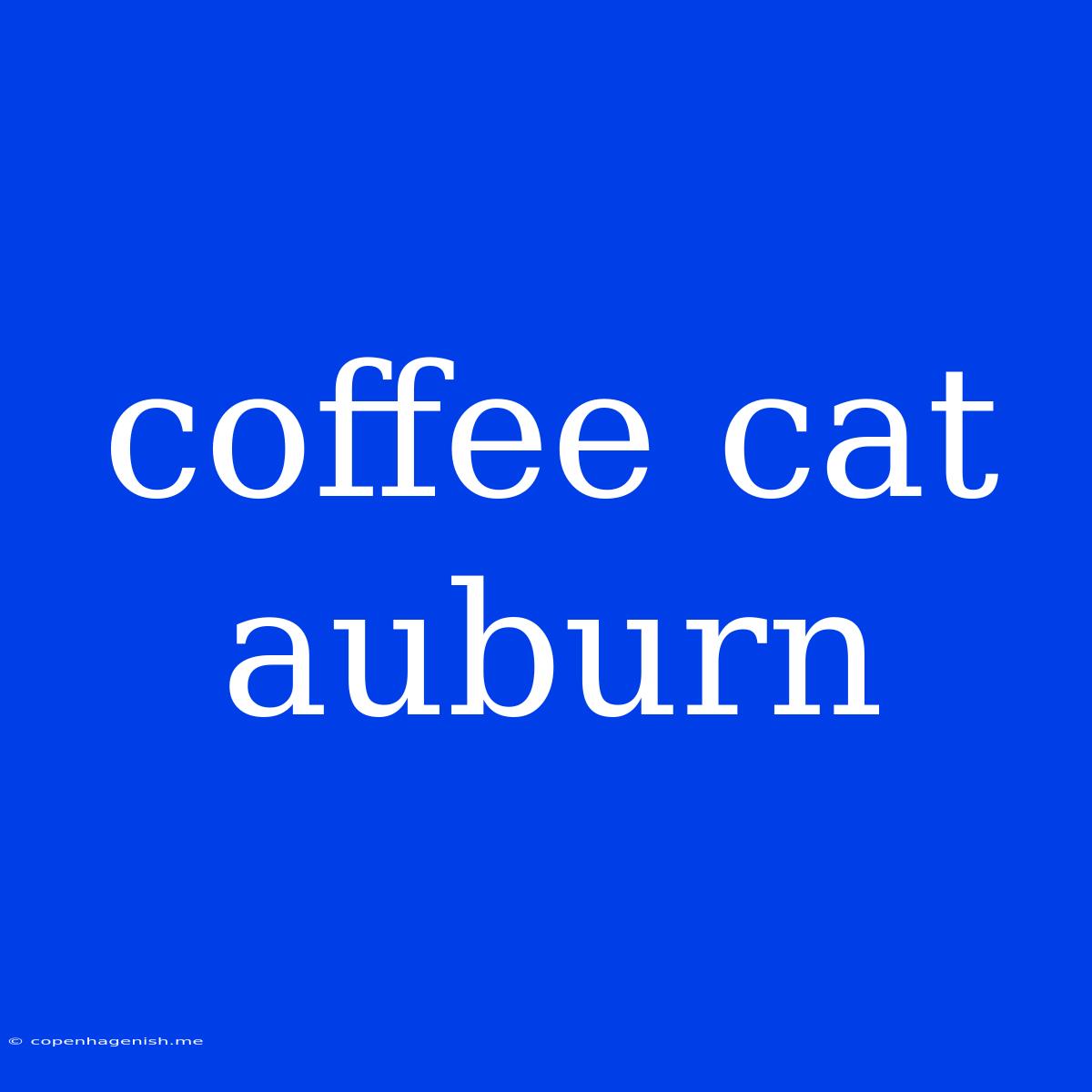 Coffee Cat Auburn