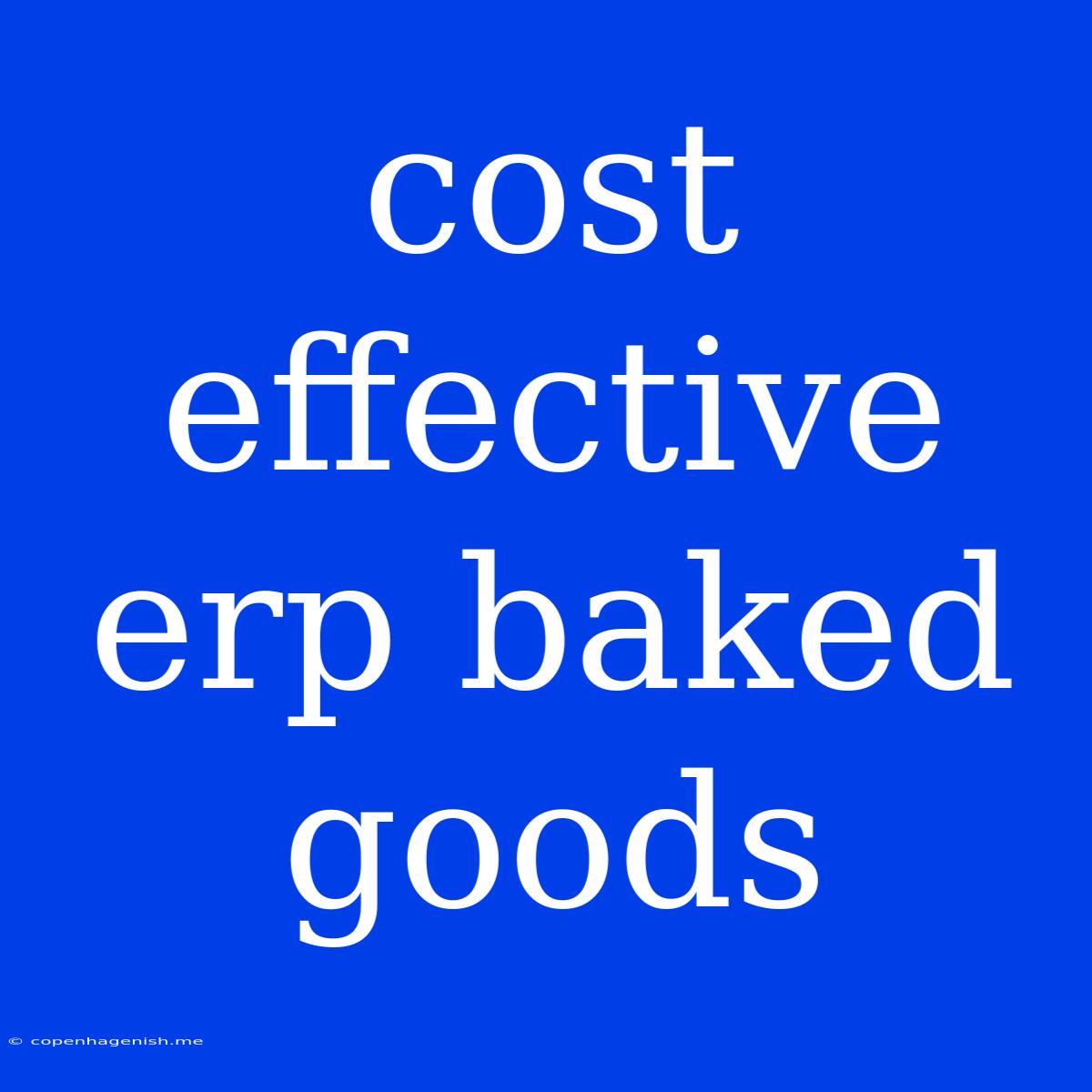 Cost Effective Erp Baked Goods