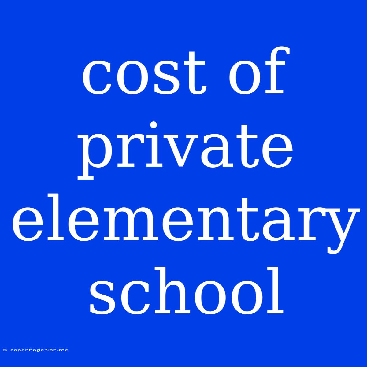 Cost Of Private Elementary School