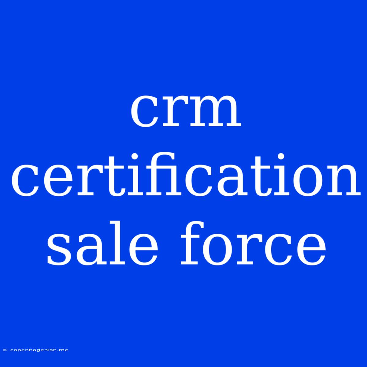 Crm Certification Sale Force