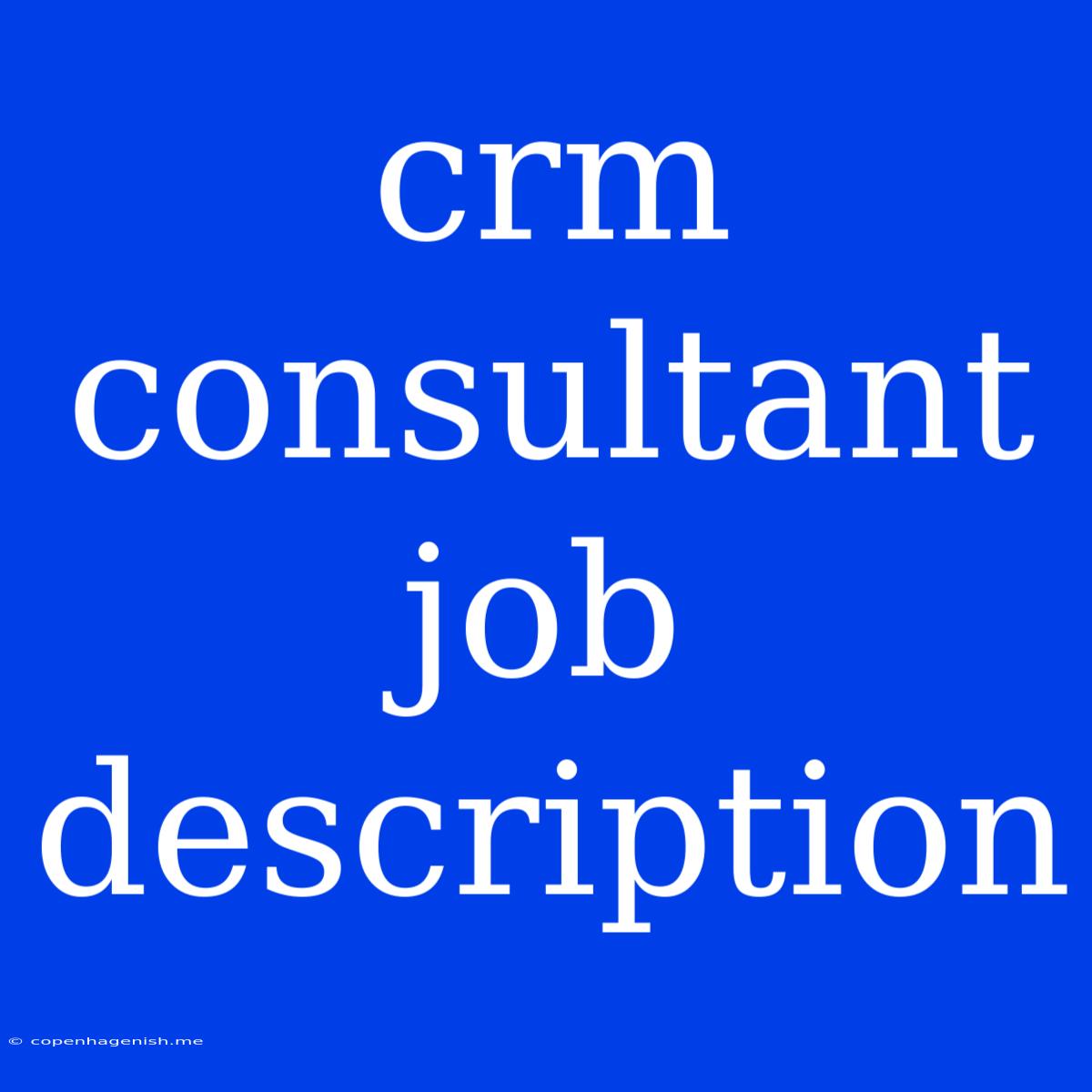 Crm Consultant Job Description