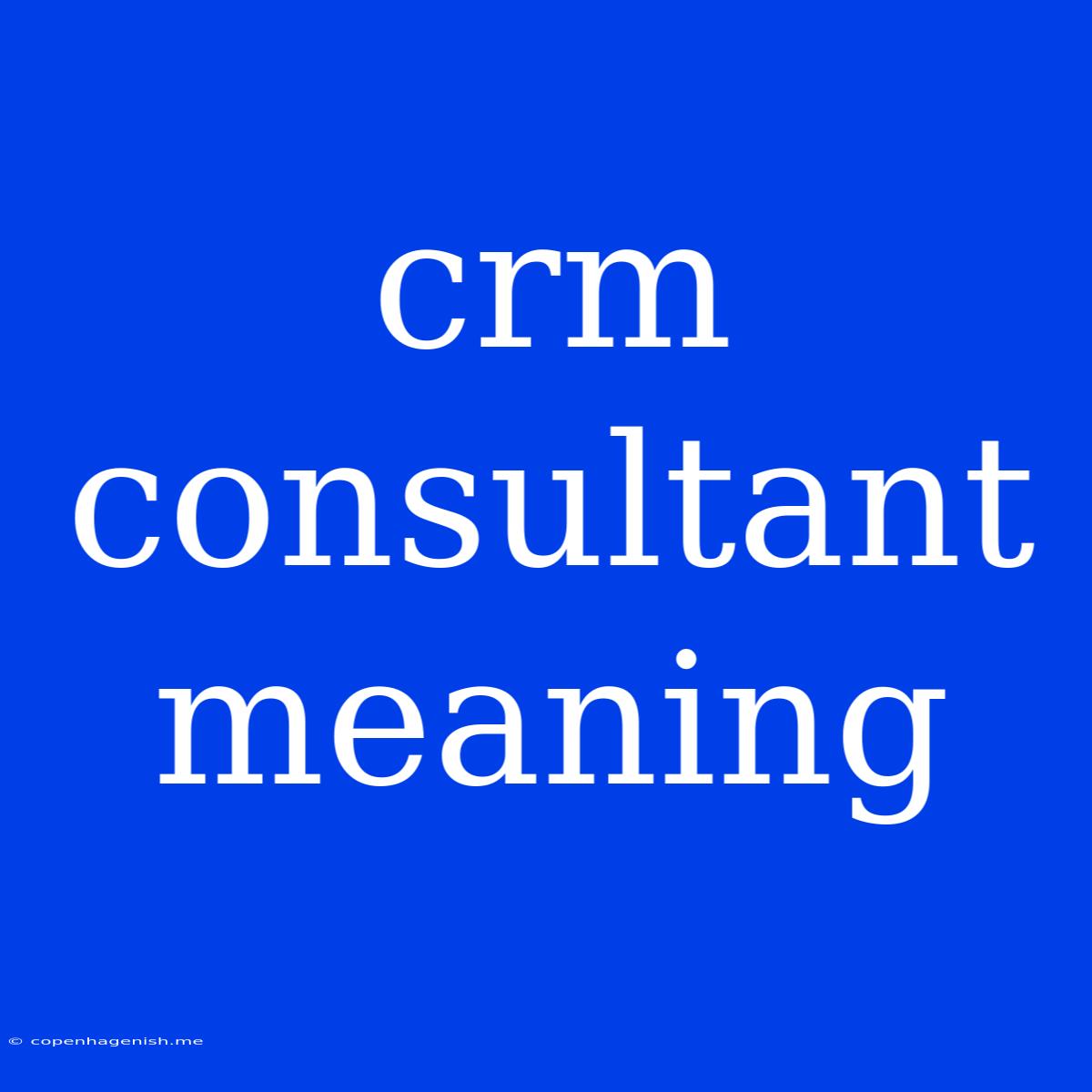 Crm Consultant Meaning