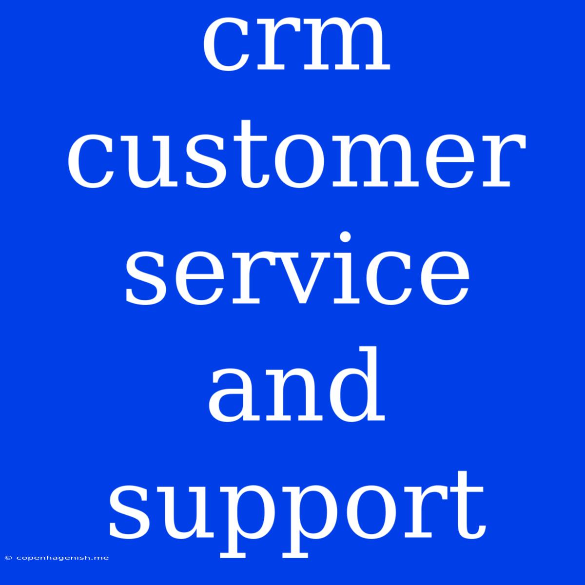 Crm Customer Service And Support