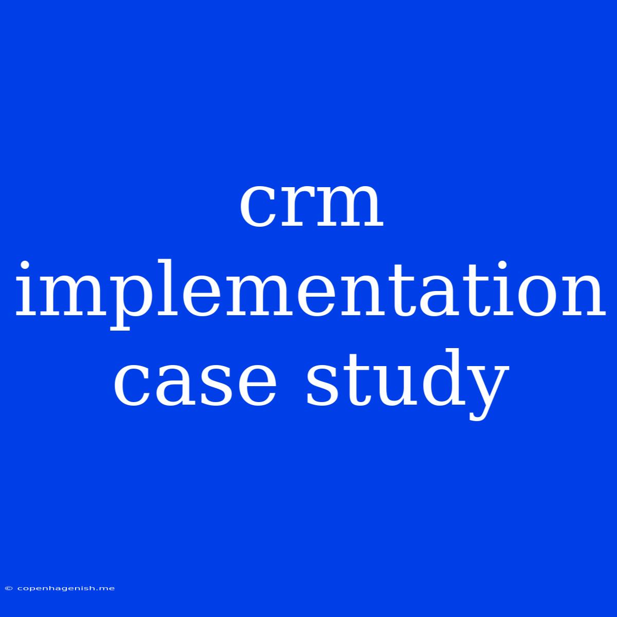 Crm Implementation Case Study