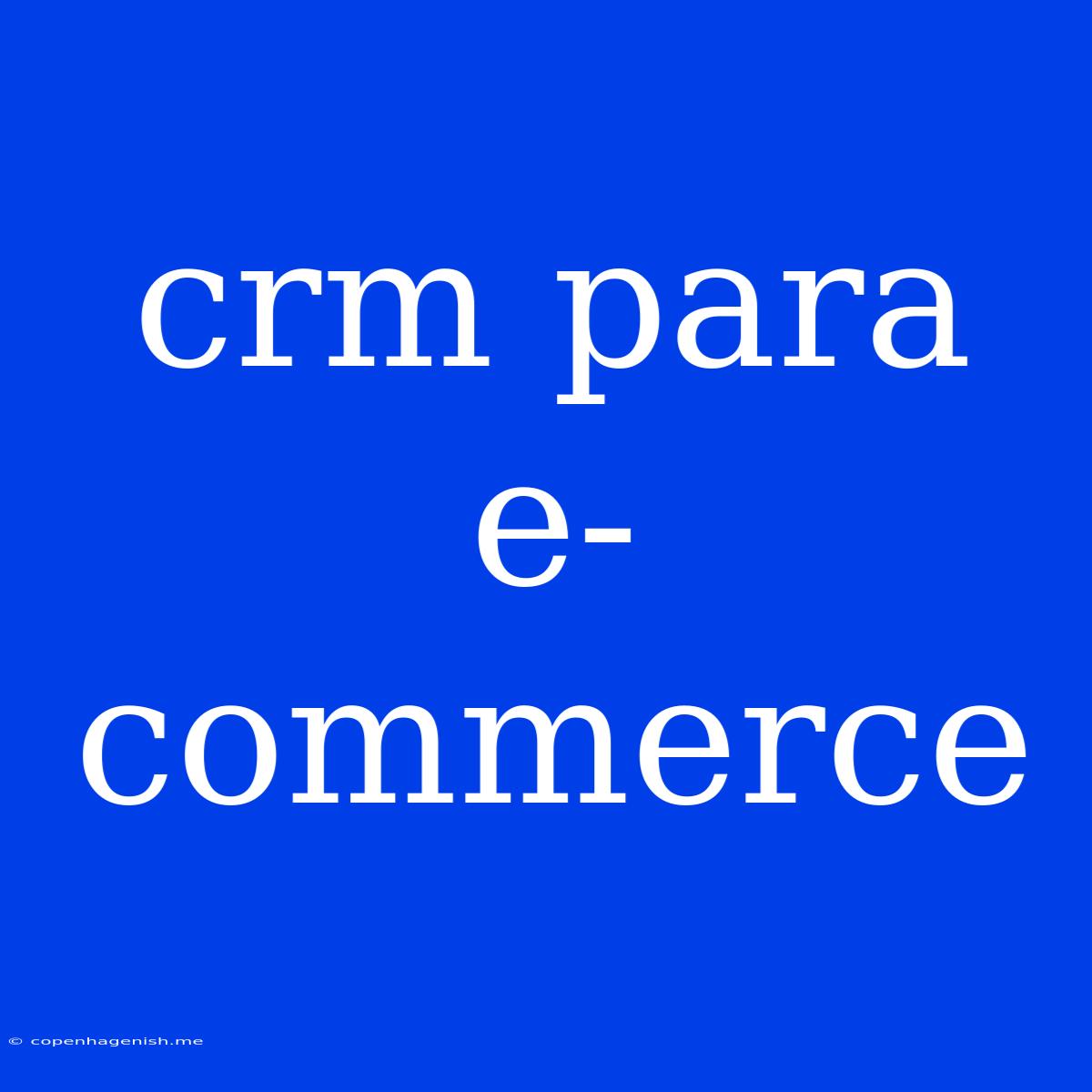 Crm Para E-commerce