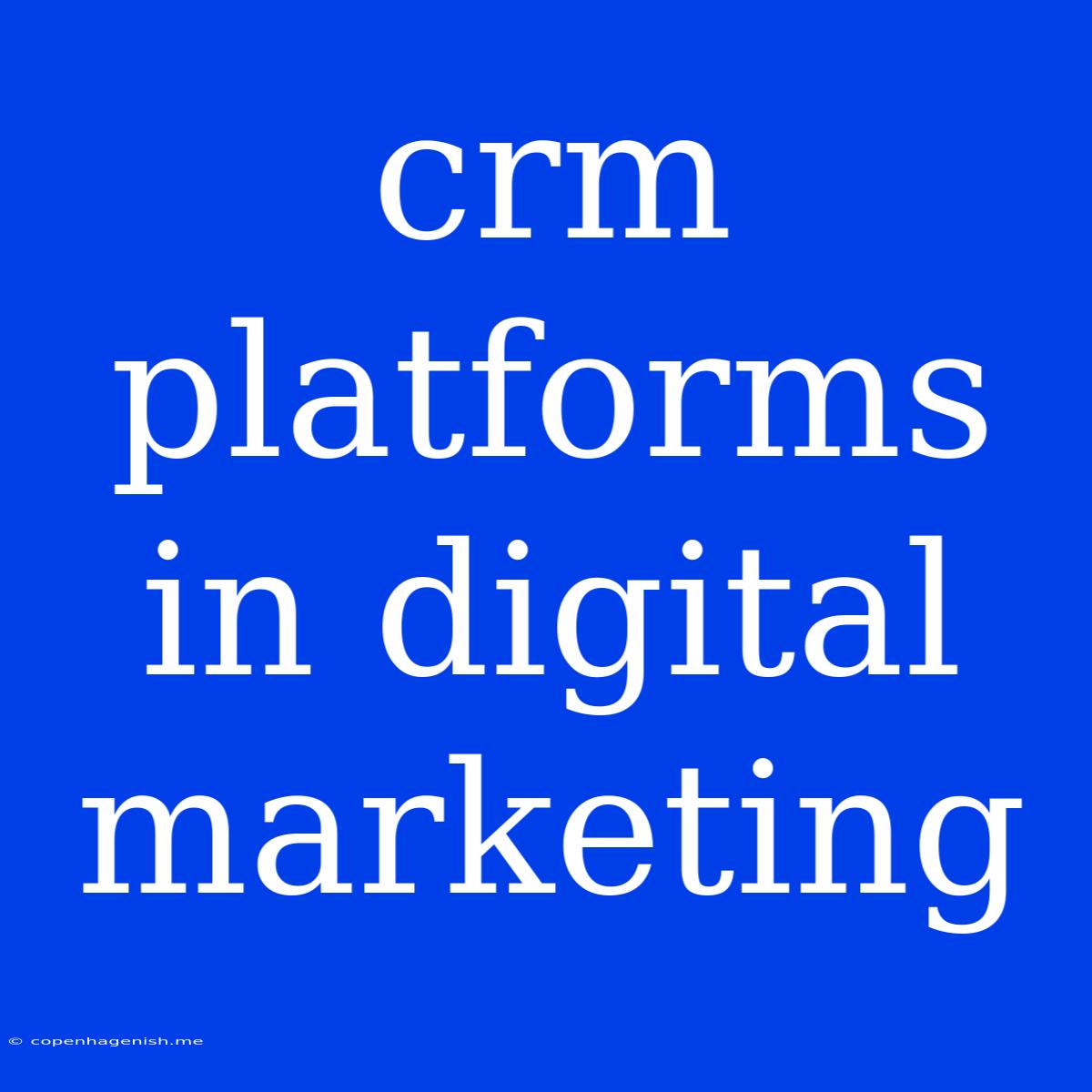 Crm Platforms In Digital Marketing