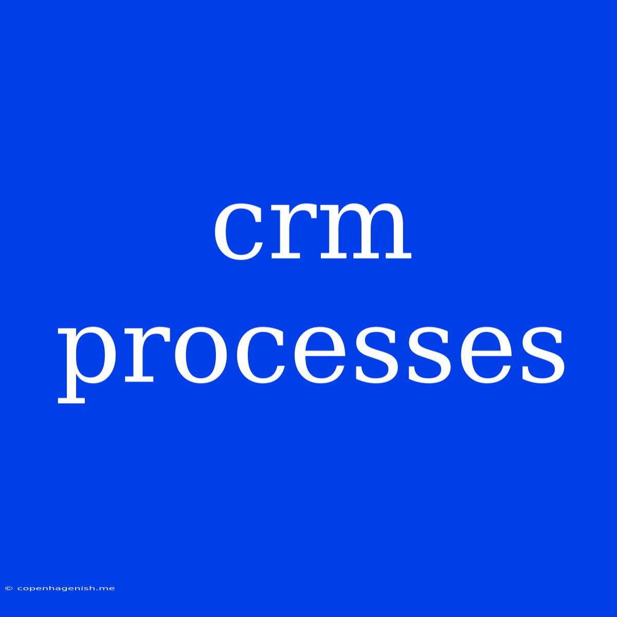 Crm Processes