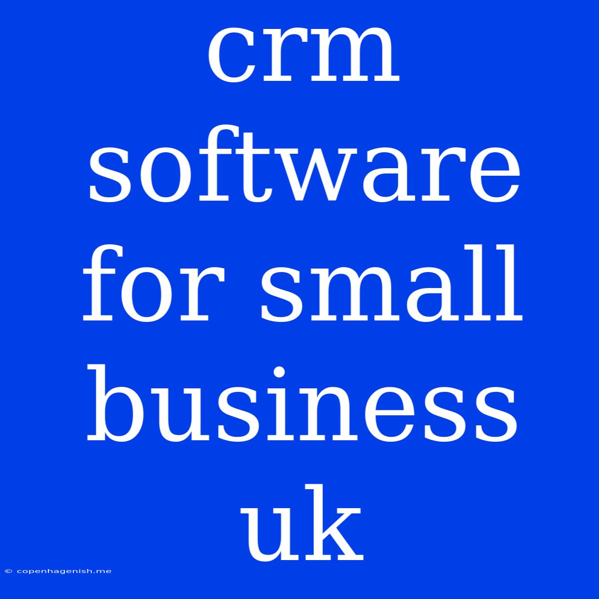 Crm Software For Small Business Uk