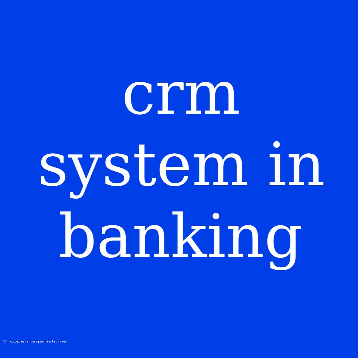 Crm System In Banking